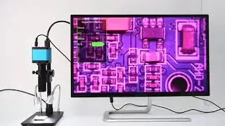 14mp Tv Hdmi USB Industry Digital C-Mount Microscope Camera Tf Video Recoder DVR