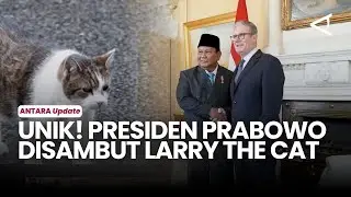 Momen unik Presiden Prabowo Disambut 'Larry The Cat' saat pertemuan Bilateral dengan PM Inggris