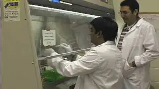 Staph Infection Research