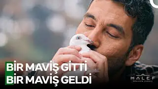 Aşır, Babahan'ın Yanında Kendisini Buldu - Halef: Köklerin Çağrısı 15. Bölüm