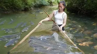 Primitive Skills - Harvest A Lot of Fish: Traditional Way to Catch 1000kg of Fish by Lift Net
