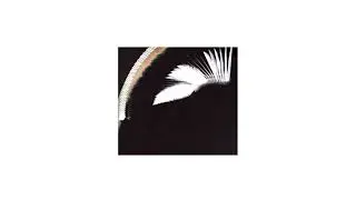 TOUCH LIGHT ft. Veronica Arabella - 💿💿 SILVER (AUDIO) 💿💿