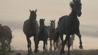 Remuda Ranch Overview
