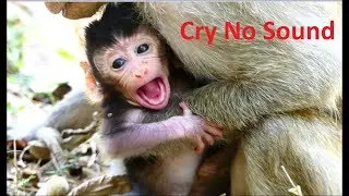 Fall Down Cry No Sound! Million Sad Baby Seem Hurt While Crying No Sound Like This