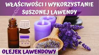 Jak prawidłowo wysuszyć lawendę i do czego ją potem wykorzystać? Jak zrobić olejek lawendowy? 💜💜💜