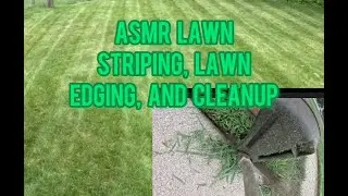 ASMR Lawn Striping, Edging, And Driveway/Sidewalk Cleanup