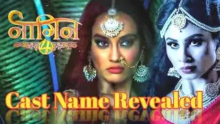 naagin 4 new cast name revaled