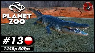 Krokodyle różańcowe | #13 | Planet Zoo PL