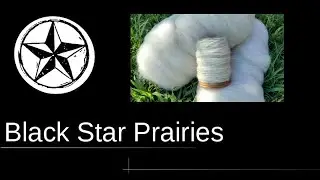 Spinning white color wool roving unsupported long draw Ashford Traditional 2x