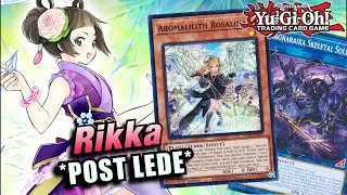 YU-GI-OH! *NEW* RIKKA SUNAVALON DECK PROFILE! LEGACY OF DESTRUCTION 2024