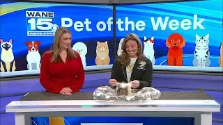 Pet of the Week: 1/20/26