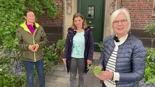 Völker aufteilen bei Susanne - Live von Pias Bienenstand - 30.5.