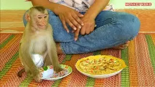 Adorable Mom Cooking Fried Eggs With Tofu For Greedy Monkey Kako Eating Afternoon