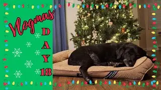 Last Chance for Par | Playing for Par at Muddy Run F9 | Vlogmas Day 18