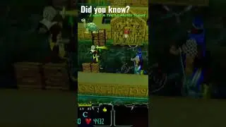 Gauntlet Dark Legacy 🐢 did you know I have a pet turtle? #gauntletdarklegacy #gauntlet #darklegacy