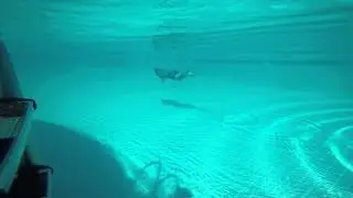 Coliseum pool pefkos
