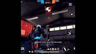 PNPV 44?
