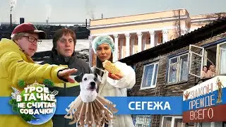 Трое в тачке, не считая собачки | Сегежа