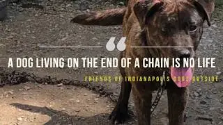 Haven Presents: Unchained - The Story of Fido
