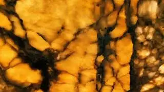 Alpinus Quartzite Block VSI 2545 | Backlit Slab Showcase | Varsha Stones