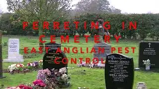 Rabbit Control In Suffolk Cemetery - East Anglian Pest Control.