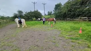 Melanie Garner & Phoenix and Emma Cattermole & India Pairs Horse Agility 2025