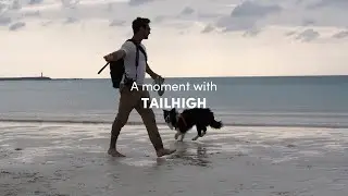 TailHigh Hybrid Dog Harness