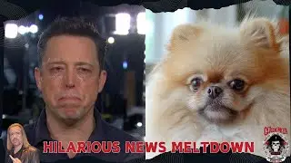 Crying Over a Dog? The Most Hilarious News Meltdown Ever Captured!
