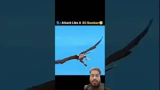 Attack By Falcon Looks Like a B2 Bomber attack...#viral #youtube #shorts#video