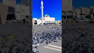 Mashaallah Beautiful View Masjid Bilal ! Bilal Masjid Madina #shortsvideo #shorts #shortvideo