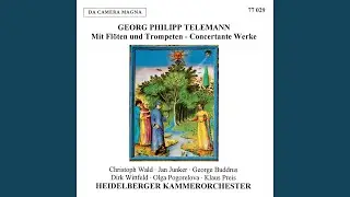 Concerto for 2 Trombe selvatiche in E-Flat Major, TWV 54:Es1: IV. Vivace