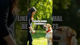 Unusual Careers in Animal Training
