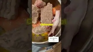 BARF DIET (a dog&rsquo;s intended diet)