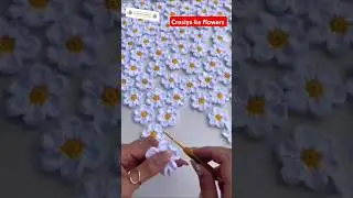 #crosiya ke flowers #short video #shortsfeed #youtubeshorts #trending #viral India