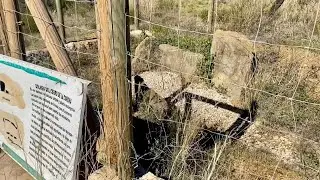 Ruta Dolmen del Cerro de la Corona y Totalán (Málaga)