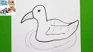 Learn How to draw a Albatross ( seabird)