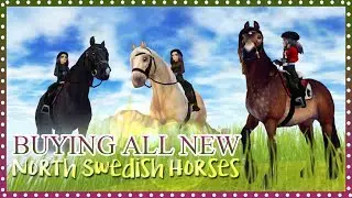 Buying ALL the new North Swedish horses | Star Stable