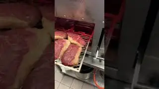 Feeding the Beefer XL with some Steaks 🥩🔥🤤 #shorts #beefer