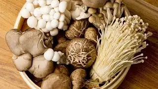 Mushroom Immune - Boost Your Immune System With Medicinal Mushrooms