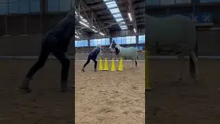 Can a horse remove an obstacle to catch a person ?