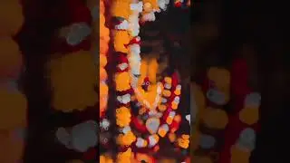 Maa 🌺🔱