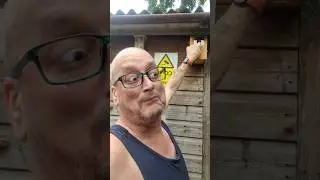 Checking the bird nest boxes #bird #birds #birdsounds #birdsong #nest #nestbox #funny #shorts