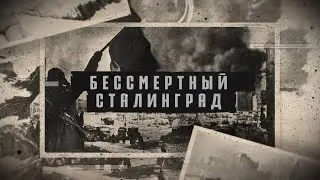 «Бессмертный Сталинград». Документальный фильм патриотического проекта МГИМО
