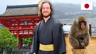 Exploring Temples & Snow Monkeys in Kyoto🇯🇵