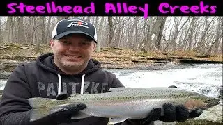 Erie Steelhead Fishing