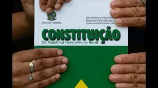 39 Comunica&ccedil;&atilde;o social, meio ambiente, fam&iacute;lia, idoso, &iacute;ndios - Do art. 220 ao 232.