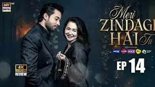 Meri Zindagi Hai Tu Episode 14 | Meri Zindagi Hai Tu  | Meri Zindagi Hai Tu 14 | ARY Digital Drama