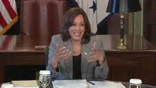 A.I. Czar Kamala Harris discusses artificial intelligence: 
