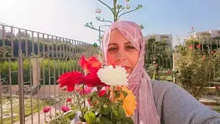 #مغتربة_فى_فرنسا الجزء الثاني من مقابلتي مع بنت العراق أم حزيفه 