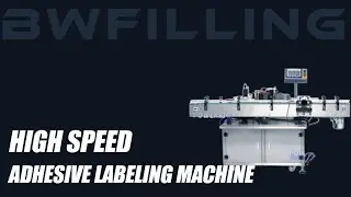 Best High Speed Adhesive Labeling Machine of 2025 Chinese Manufacture.Bwfilling